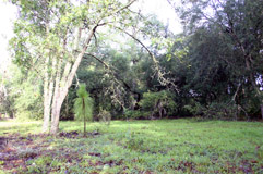 Image of Waldo Road Property